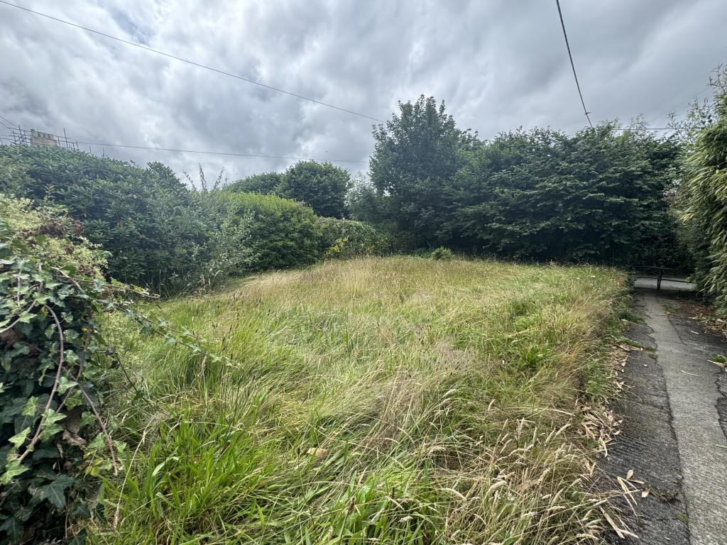 Lot: 161 - 	SEMI-DETACHED HOUSE FOR IMPROVEMENT - Front garden